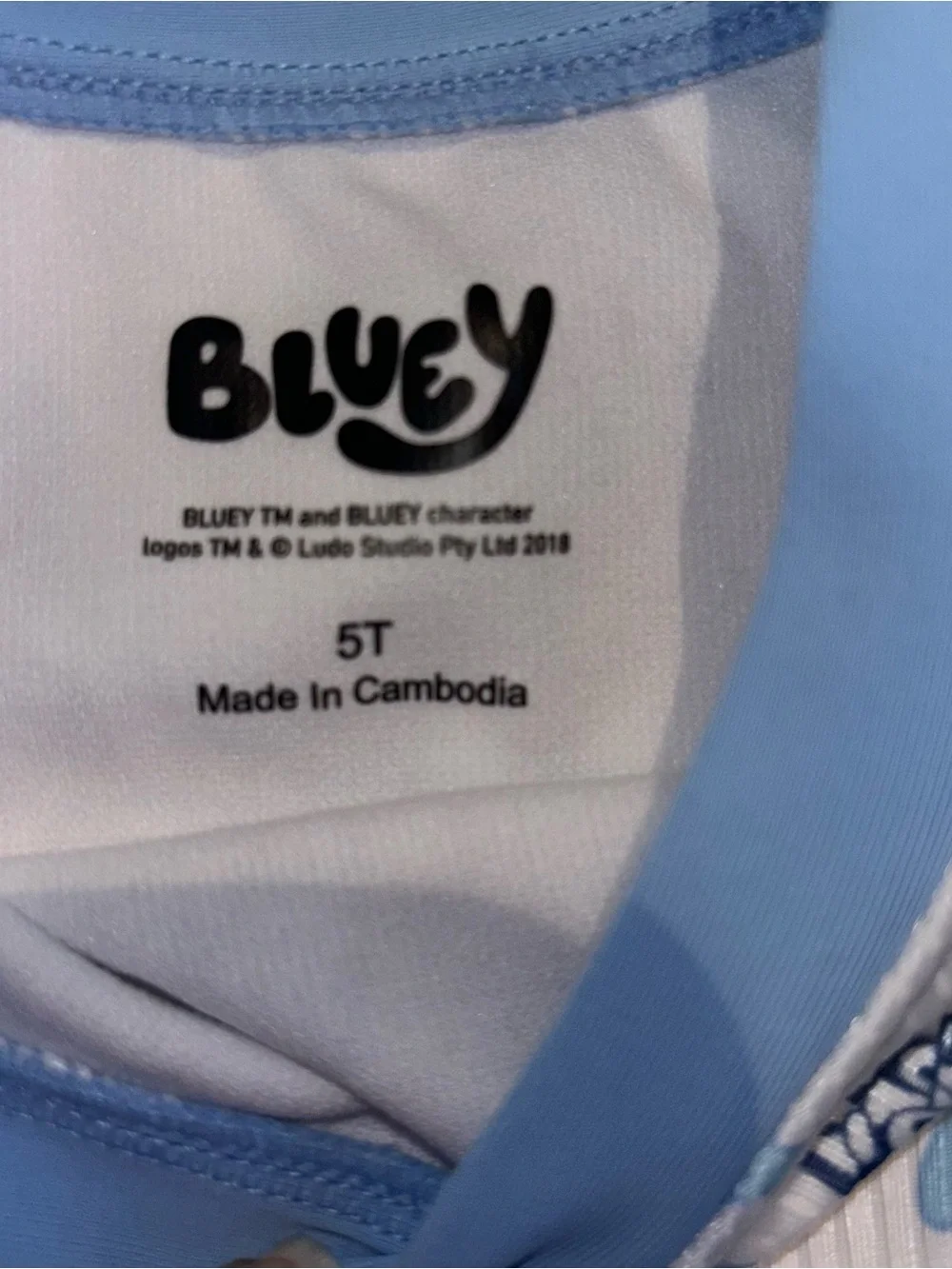 Bluey Long-Sleeve Kids Bikini Set in white & Blue Palm Print Toddler Girls 5T